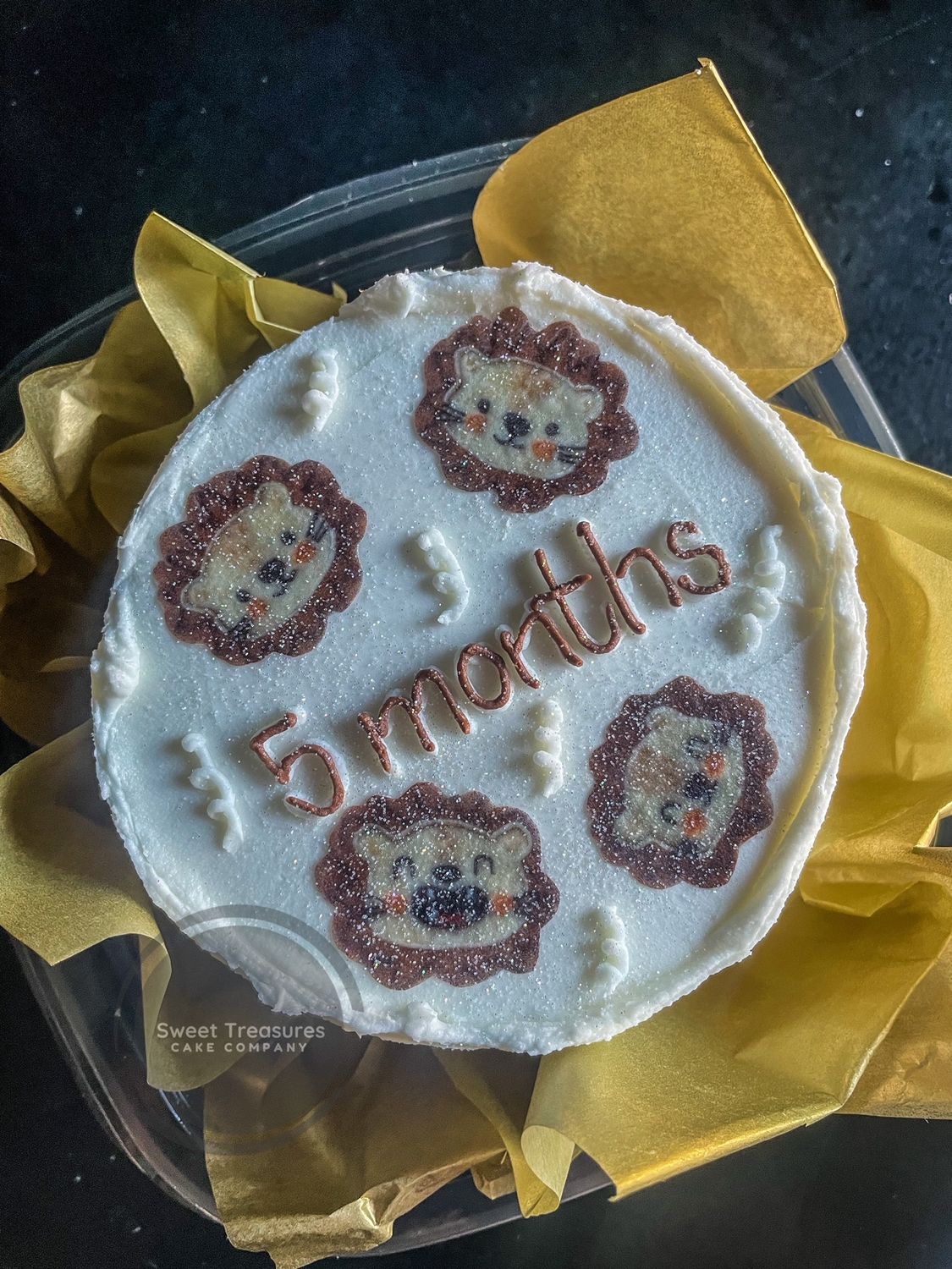 Lion&#39;s Milestone Bento Cake