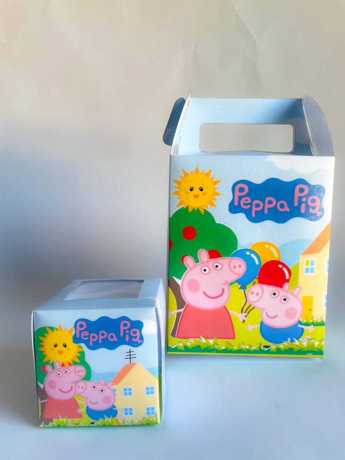 School Party Combo WITH CUPCAKE: Little Piggy