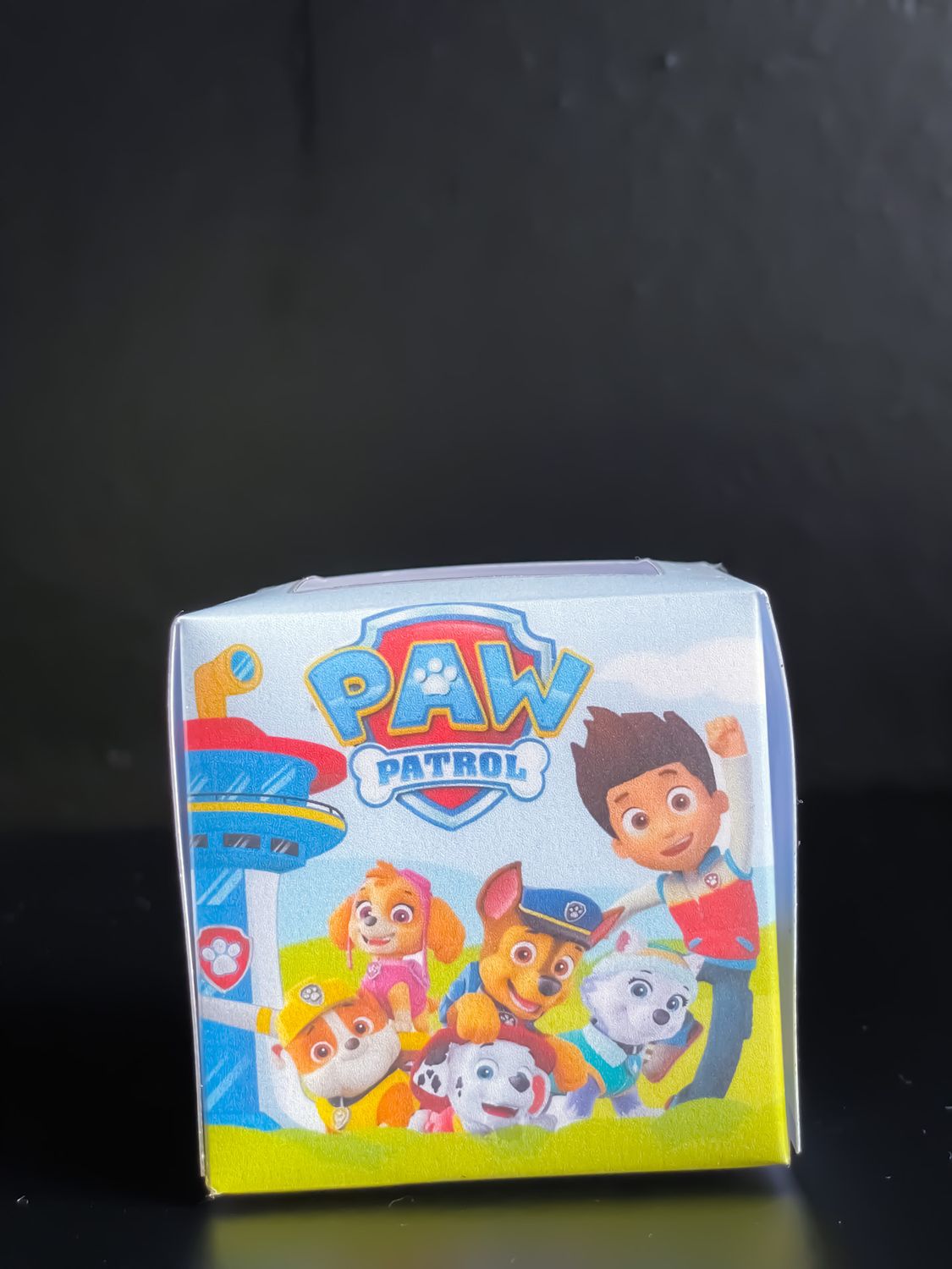Cupcake Boxes: Paw Patrol inspired