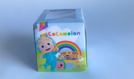 Cupcake Boxes WITH CUPCAKE:  Melody Fun