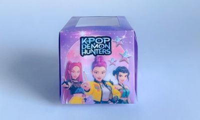 Cupcake Boxes WITH CUPCAKE:  K-Pop Hero