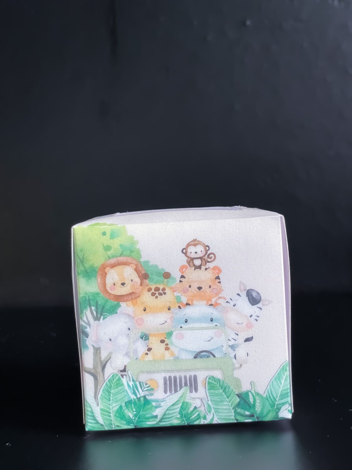 Cupcake Boxes: Sweet Safari