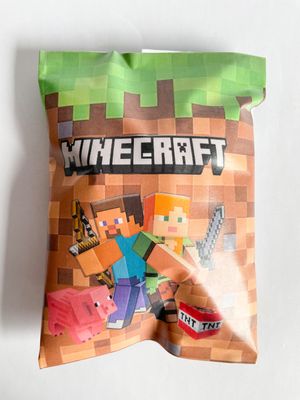 Party Pack Bag: Minecraft Inspired