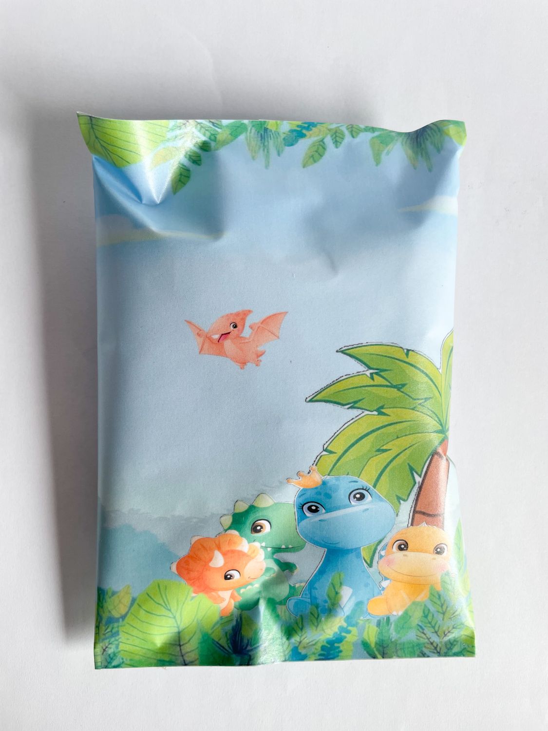 Party Pack Bag: Dino Time