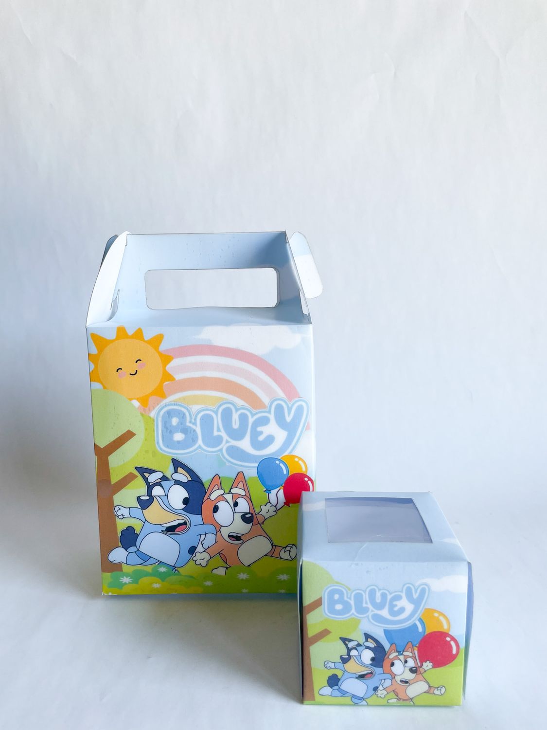 Party Pack Box WITH matching cupcakes: Bluey Inspired