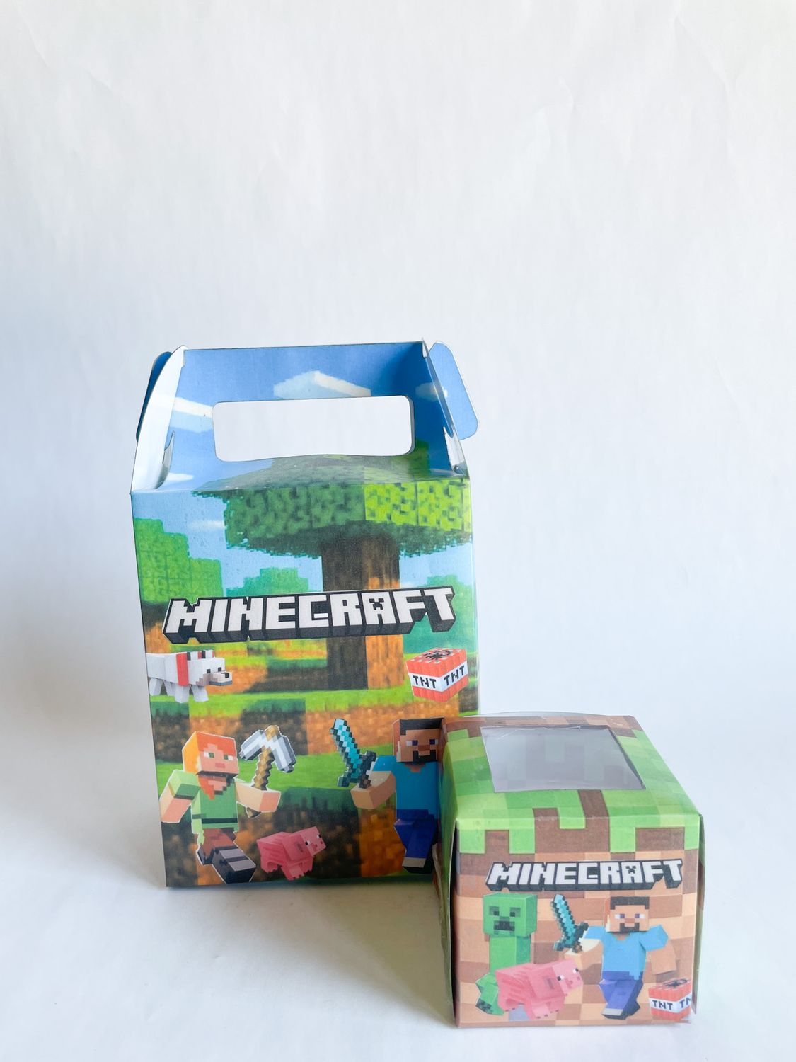 Party Pack Box WITH matching cupcakes: Minecraft Inspired