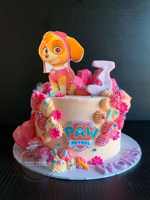 Paw Patrol Inspired Single tier cake