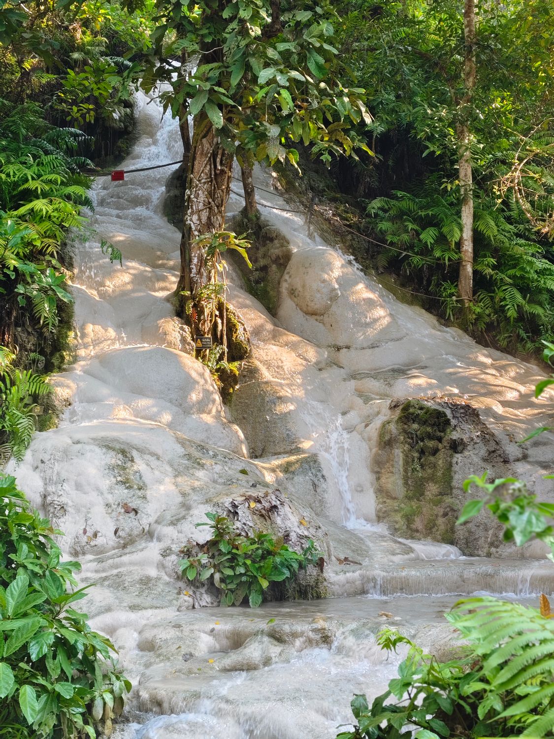 Sticky Waterfalls, Long Neck Karen Village &amp; Elephant Sanctuary Tour