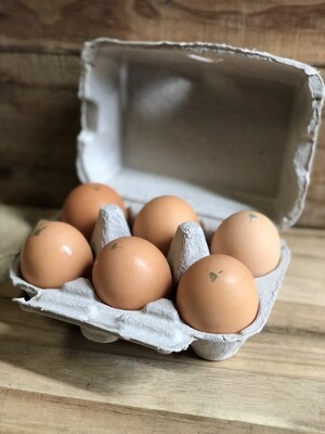 Organic Pastured/Forested Chicken Eggs (Half Dozen Jumbo)