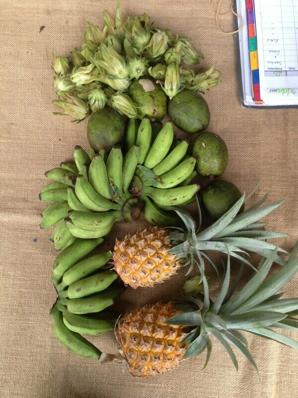Panier Fruits