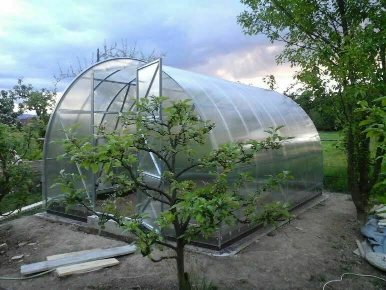 TOP GEWÄCHSHAUS TRIOSKA 3 - Die Tragfähigkeit bis zu 180 kg/m2 - THERMO - B 3m x Länge nach 2m + 4/6 mm Polycarbonat + Versand