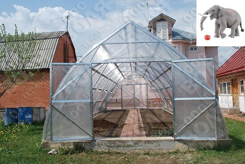 VOLYA PROFI 5m