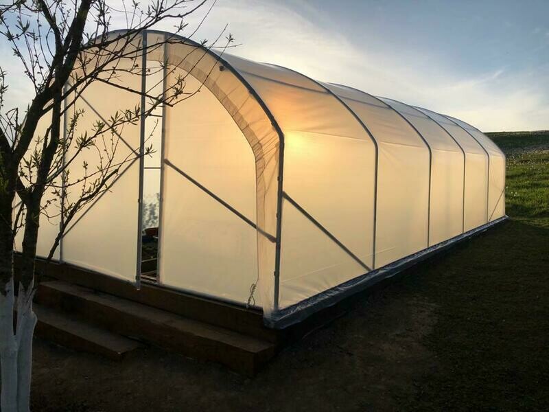 TOP - Gewächshaus - Treibhaus HOBBY/PROFI TUNNEL HÖHERE SEITENHÖHE - 4m breit