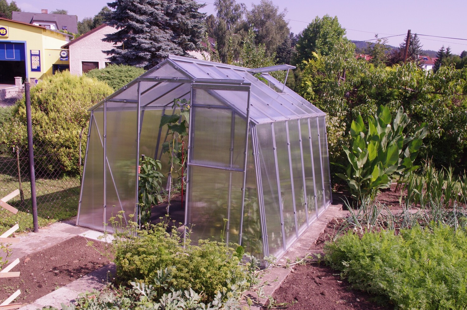 Gewächshaus POLY – vorgeschnittenes Polycarbonat 4 mm – Breite 2,47 m + Dachrinne + Lieferung