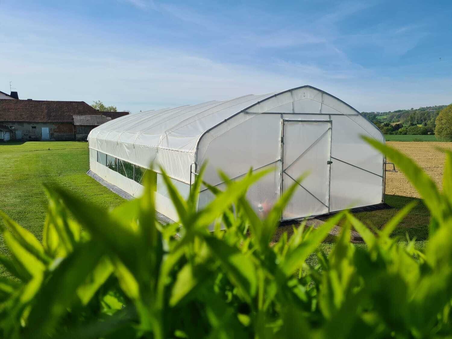 TOP MODEL 2024 Profi Gewächshaus – 5 m Breite, Länge bis 60 m | EU-Produktion &amp; Verstärkter Rahmen