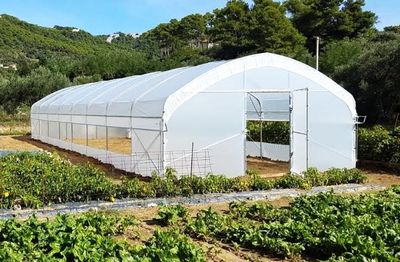 EU-Qualität FOLIENGEWÄCHSHAUS- EIGENPRODUKTION