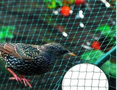 Vogelschutznetz