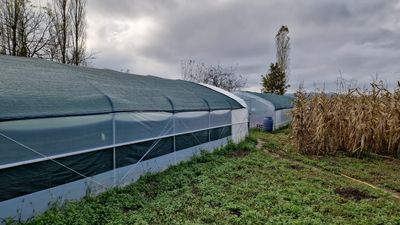 Beschattungsnetz