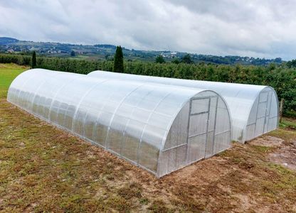 Gewächshaus OMEGA 3,5 m breit – 2 m hoch - Schneelast bis zu 340 kg/m²