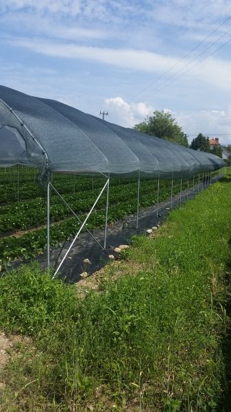 Beschattungsnetz pe 30 %, 3,12 m - Rolle 100 lfm