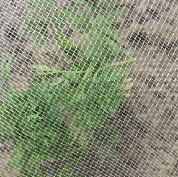 Insektenschutznetz 0,88 mm x 1,02 mm, Breite 4m - Rolle 200 lfm