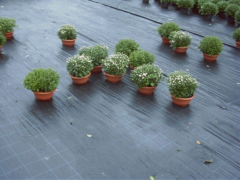 Anti-Unkraut-Stoff 100 g/m2, Breite 2,10m - Rolle 100 lfm