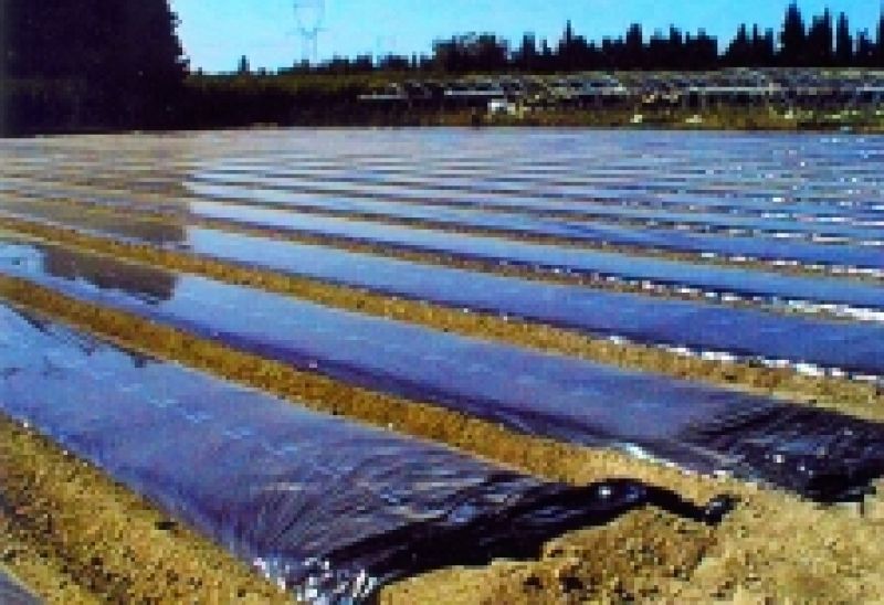 Folie schwarz 1,20 m x 0,04 mm, 100 lfm, nicht perforiert