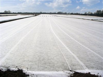 Frostschutzdecke