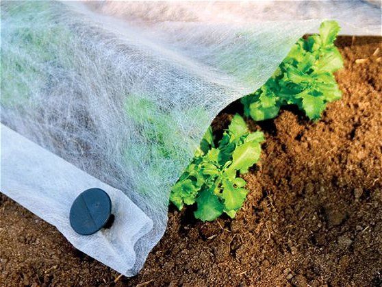 Frostschutzdecke 17 g, 4,10 m x 250 m