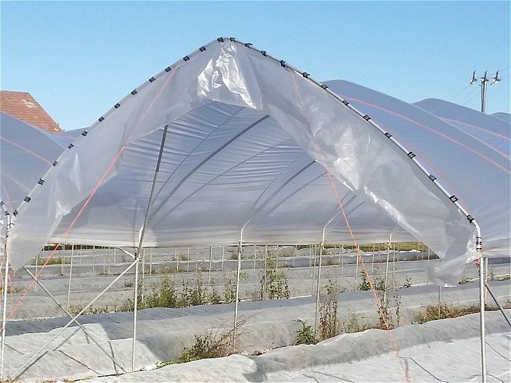 Frostschutzdecke 19 g, 6,30 m x 250 m