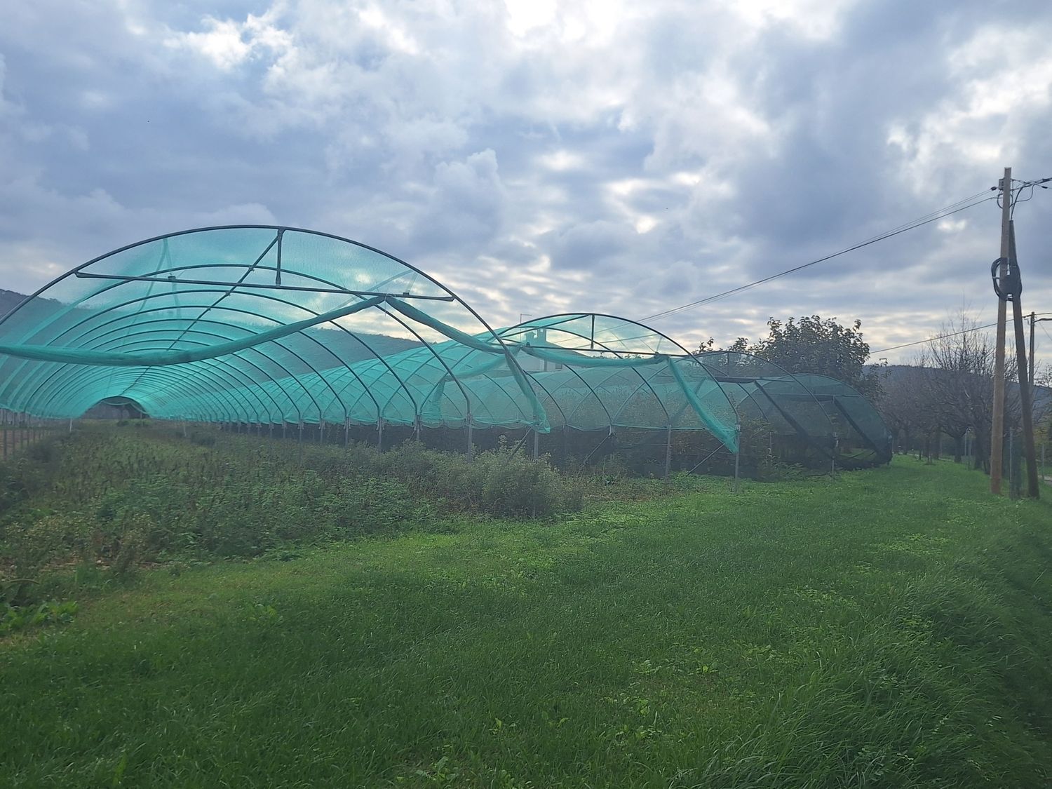 TOP METALLKONSTRUKTION + SCHUTZNETZ FÜR DEN GARTENSCHUTZ breite 4,0 m - 4,8 m -  Länge nach Wunsch!