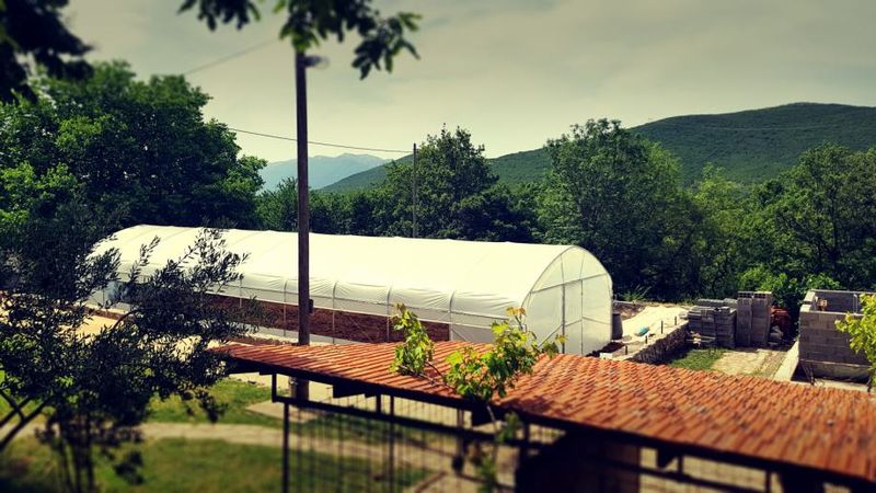 AKTION 2025! TOP PROFI – Gewächshaus - Treibhaus BREITE 6m, Länge 10, 20, 30m + 1x Tür Breiter+ ALLE VERSTÄRKUNGEN + Automatisches Belüftung GHA3
