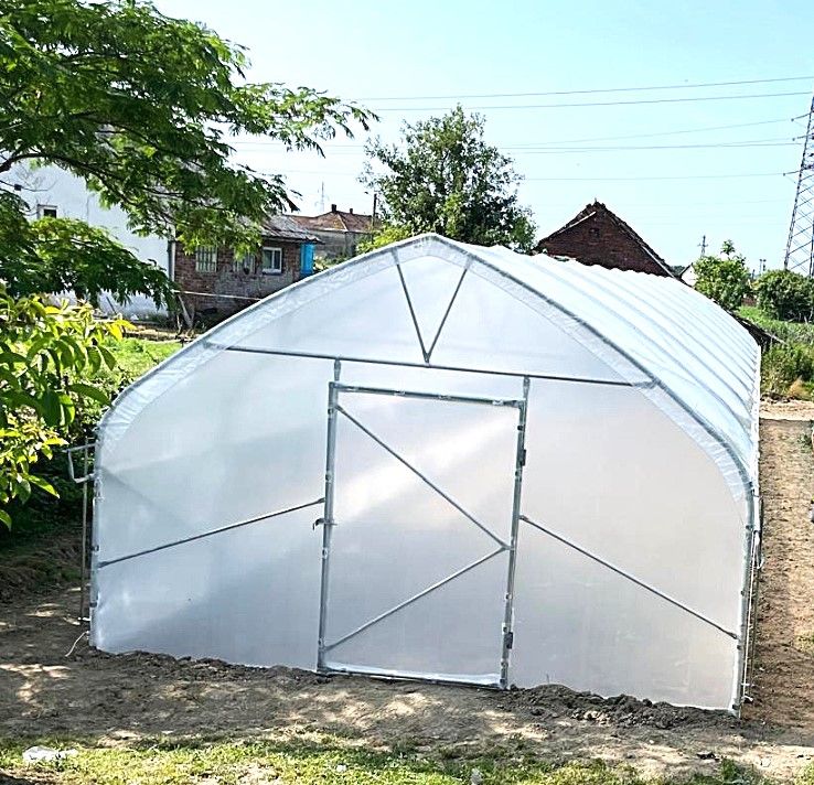 TOP MODEL 2025 Profi Gewächshaus – Robustes Treibhaus 5,0 m Breite, 1,8 m Seitenhöhe – Ideal für hobby und professionelle Gärtner - EU-Herstellung