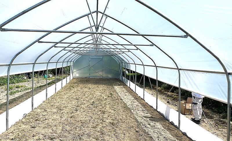 TOP MODEL 2025 Profi Gewächshaus – Robustes Treibhaus 5,0 m Breite, 1,8 m Seitenhöhe – Ideal für hobby und professionelle Gärtner - EU-Herstellung