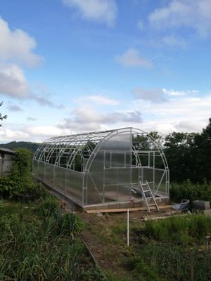 Gewächshaus breite 4 m