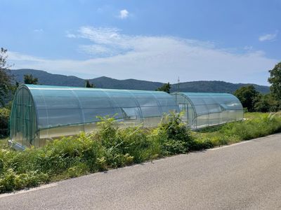 GEWÄCHSHAUS - Polycarbonatplatten