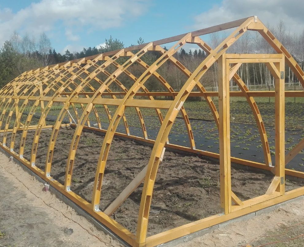 Premium Holz-Gewächshaus in Bogenform - 3,5 m