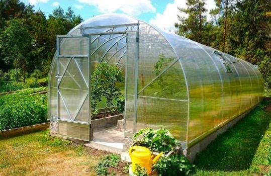 EcoSlider ES Gewächshaus 3,5 m Polycarbonat