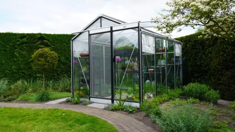 ​​ACD Glasgewächshaus R204 - 2,32 x 2,98m - Aluline