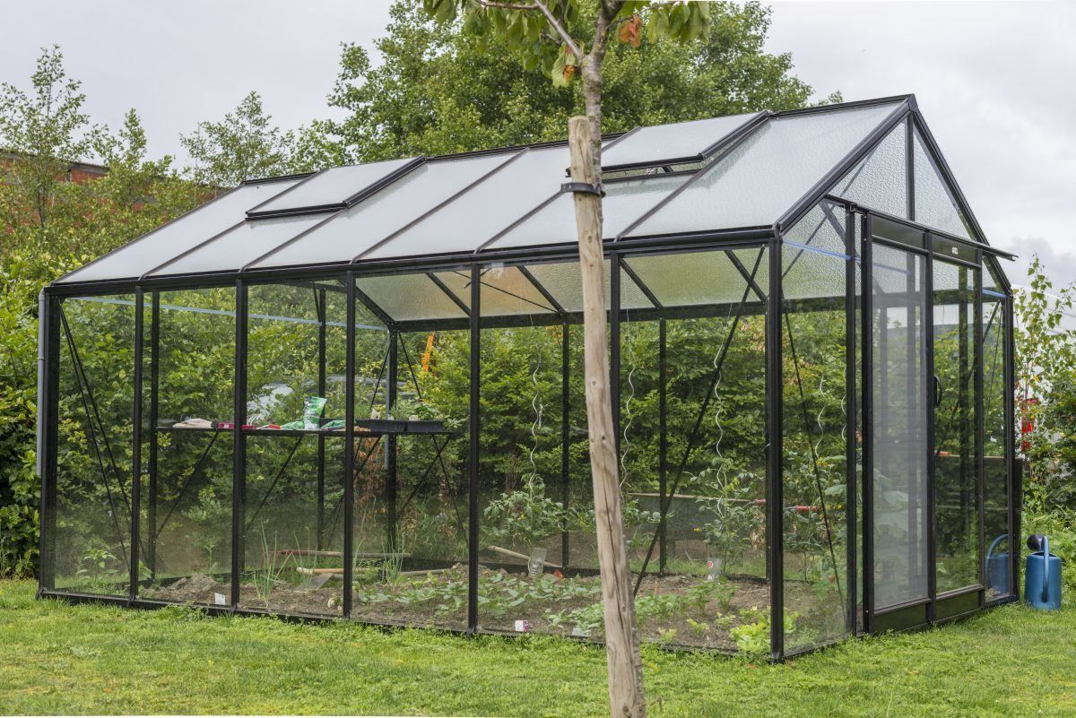 ACD Glasgewächshaus R306 - 3,06 x 4,45m - Blackline