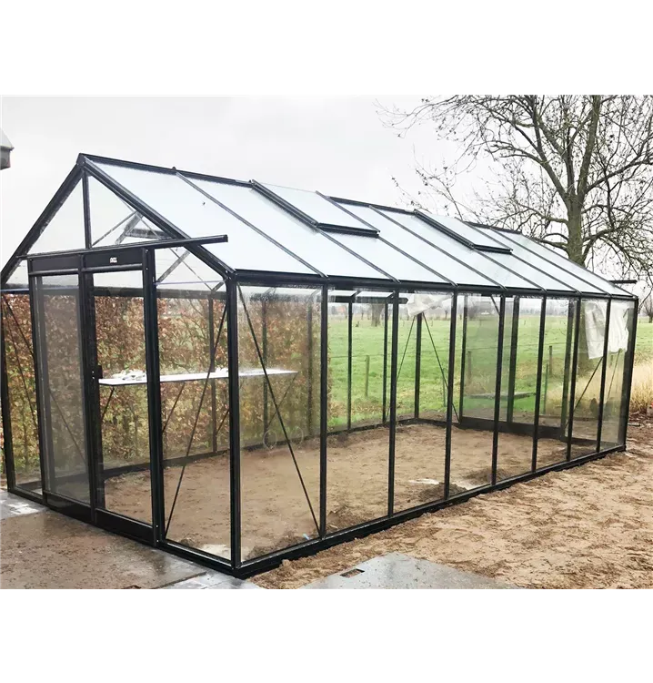 ​​​ACD Glasgewächshaus R308 - 3,06 x 5,93m - Blackline