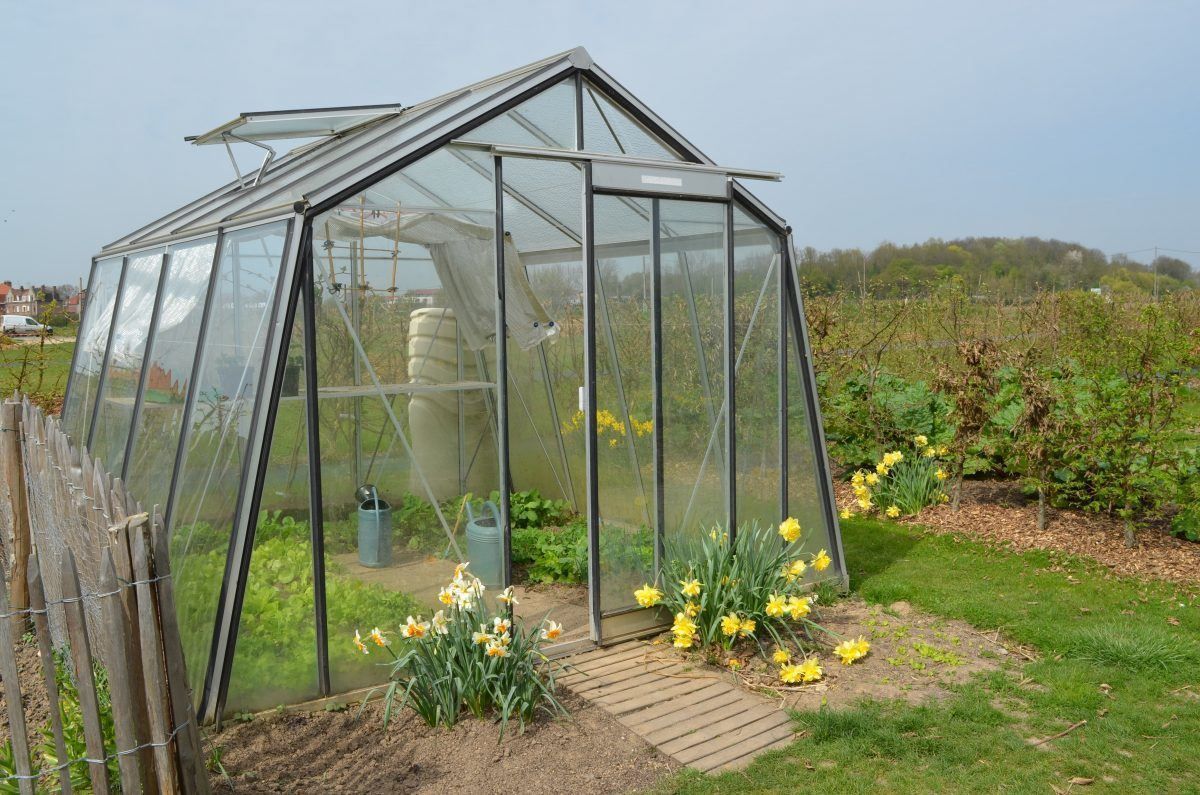 ​​​ACD Glasgewächshaus S104 - 3,06 x 2,98m - Aluline