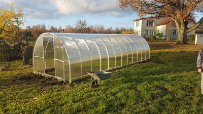 Gewächshaus – Dachform – Tunnel