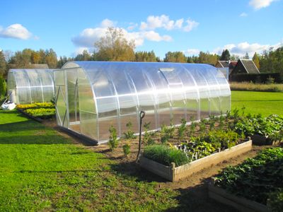 Gewächshaus – Dachform – Tunnel