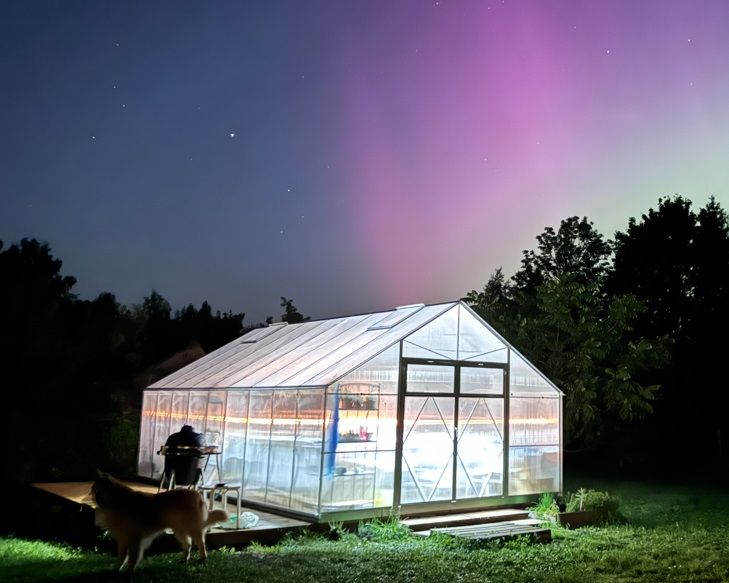 ​Gewächshaus | Polycarbonat 6/8/10mm | EcoSlider Dach EH 4,0 m | Doppeltüren | Vorgefertigtes robust &amp; langlebig