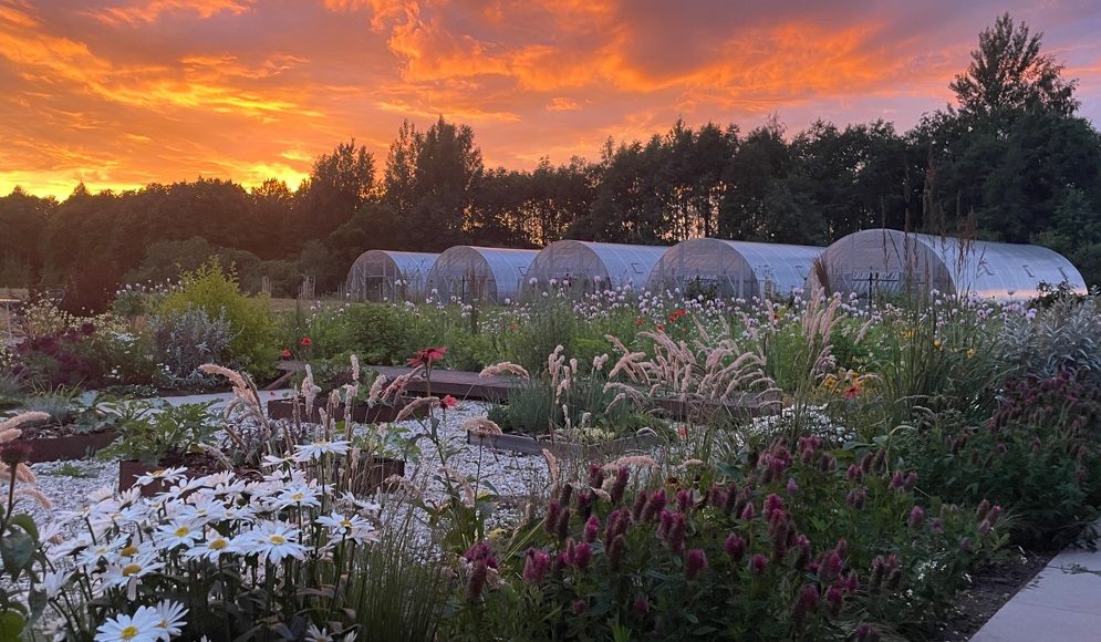 ​Gewächshaus EcoSlider | ES 7.0 m | Vormontierte Serie | Die robuste zuverlässige, stabile Prefab-Gewächshauslösung für Ihren Garten