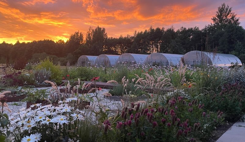 ​Gewächshaus EcoSlider | ES 7.0 m | Vormontierte Serie | Die robuste zuverlässige, stabile Prefab-Gewächshauslösung für Ihren Garten