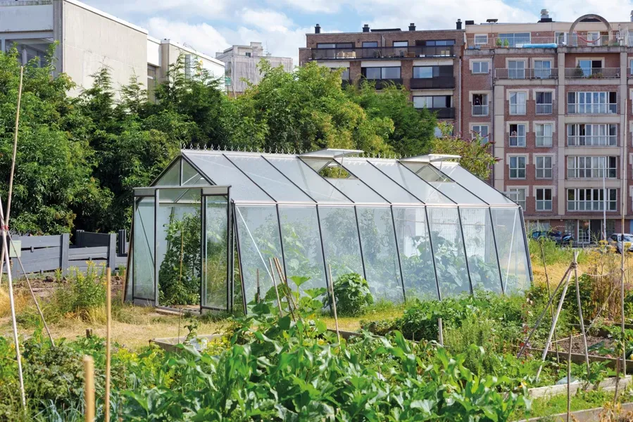 ​​​ACD Glasgewächshaus S208 - 3,80 x 5,93m - Aluline