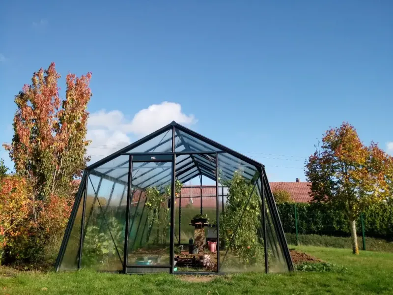 ​​​ACD Glasgewächshaus S208 - 3,80 x 5,93m - Blackline