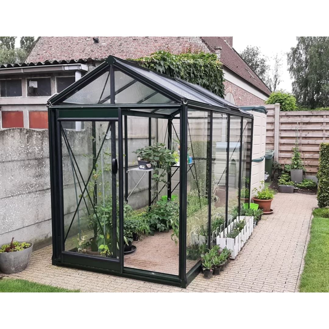 ​​​ACD Glasgewächshaus Piccolo P04 - 1,59 x 2,98m - Blackline